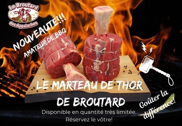 Le Marteau de Thor de Broutard